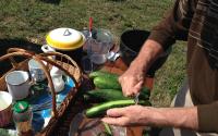 Ястия със слънчев котлон снимка на Dishes with a solar cooker