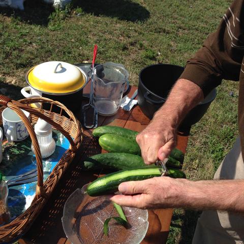 снимка на Dishes with a solar cooker