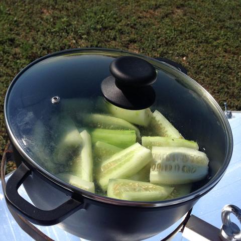 снимка на Dishes with a solar cooker