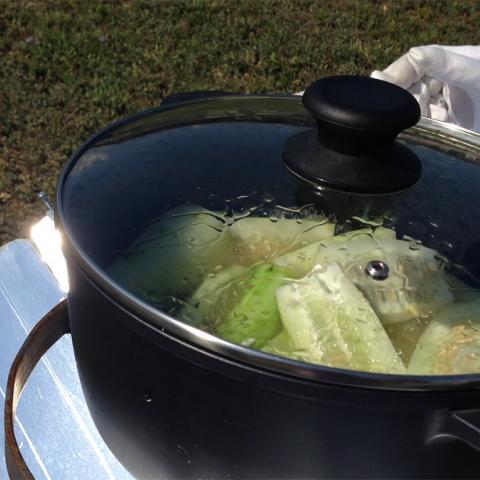 снимка на Dishes with a solar cooker