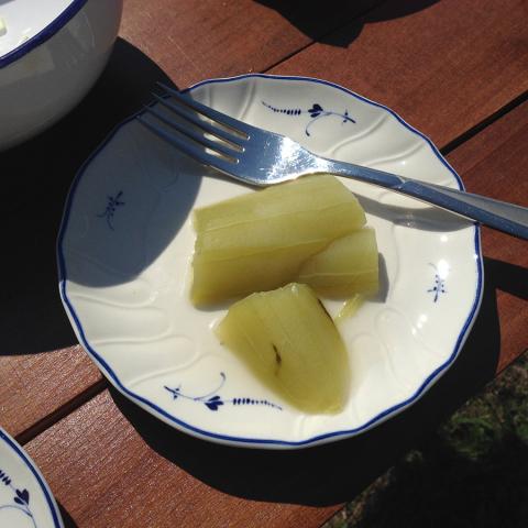 снимка на Dishes with a solar cooker